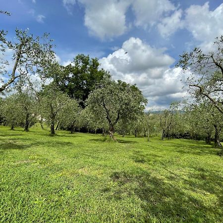 Il Giglio Rosso Villa Borgo a Buggiano Eksteriør billede